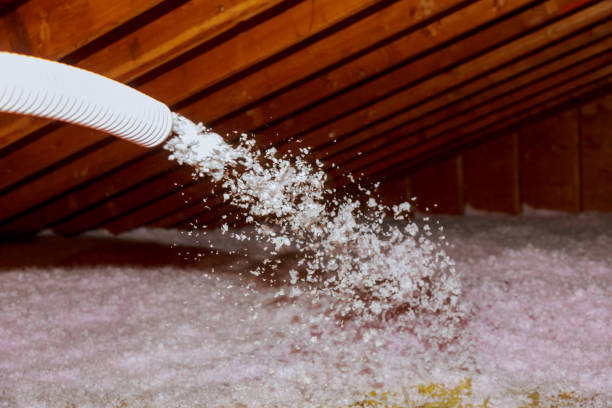 Best Insulation for Specific Applications in Stro Valley, CA