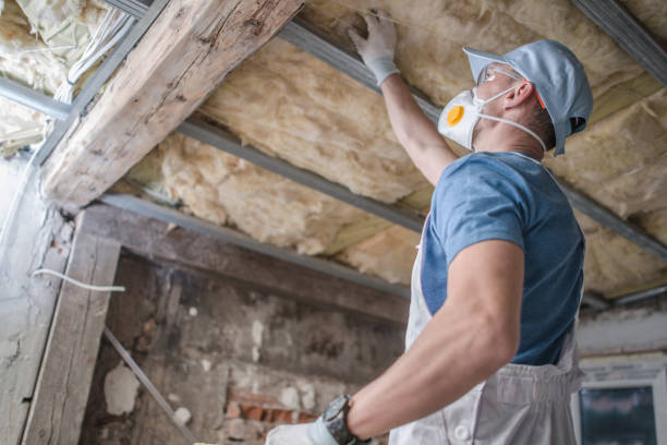 Best Insulation Installation Services in Stro Valley, CA
