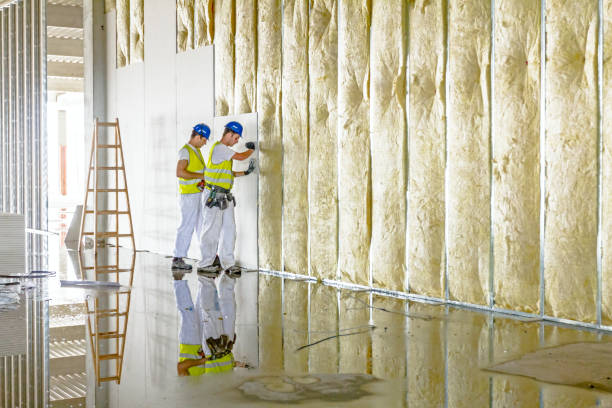 Best Insulation for Specific Applications in Stro Valley, CA